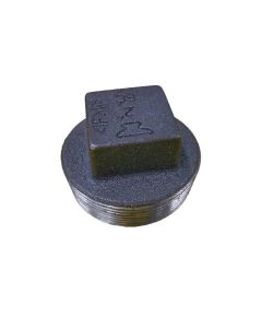 2 inch galvanized squared head plug